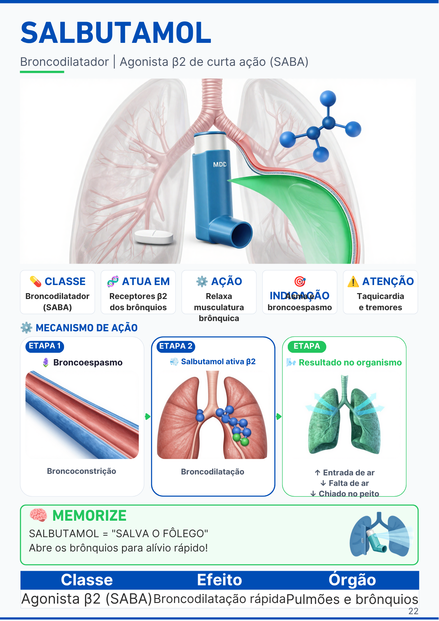 Página do medicamento Salbutamol com mecanismo de ação ilustrado